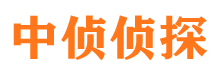 栾川寻人公司